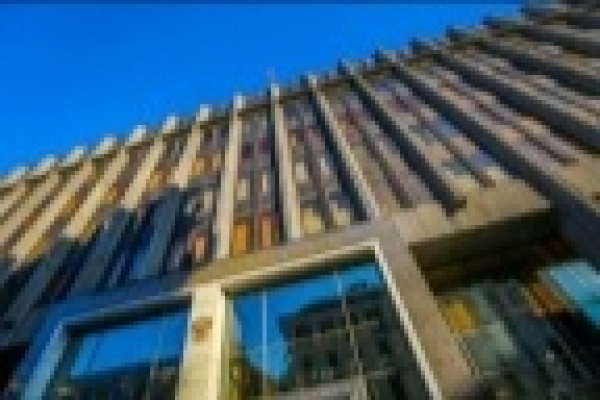 Рыжий котик, ставший мемом: смех или жалость?