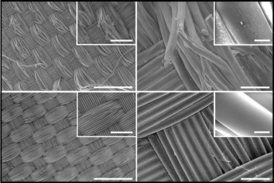 Мошенничество в сфере образования: как Аяз Шабутдинов обманул сотни людей на миллионы